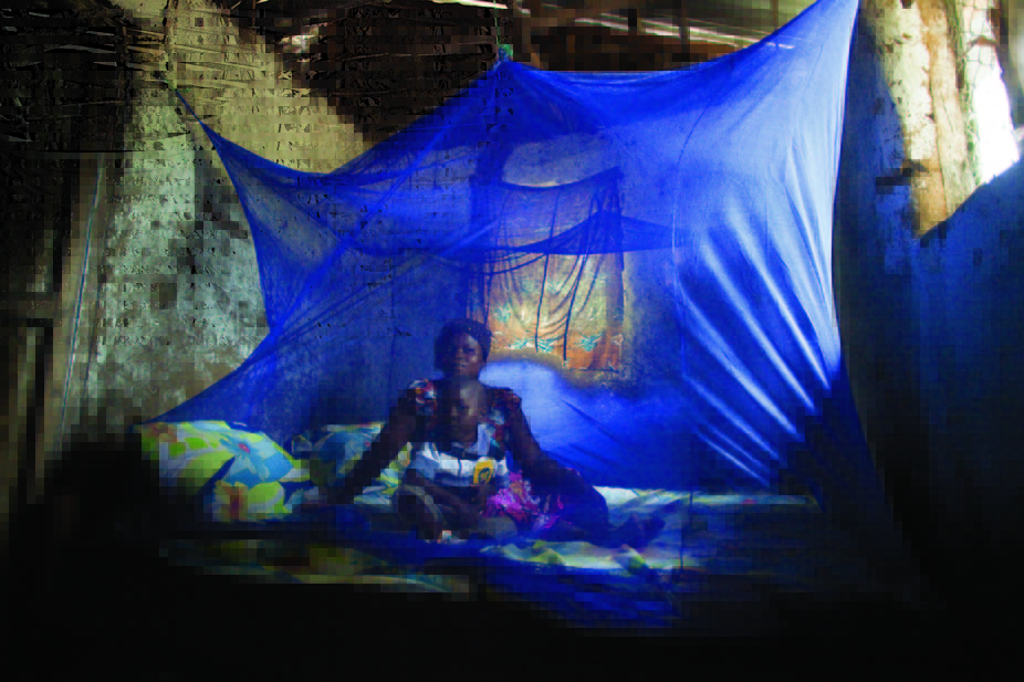 Insecticidal Nets